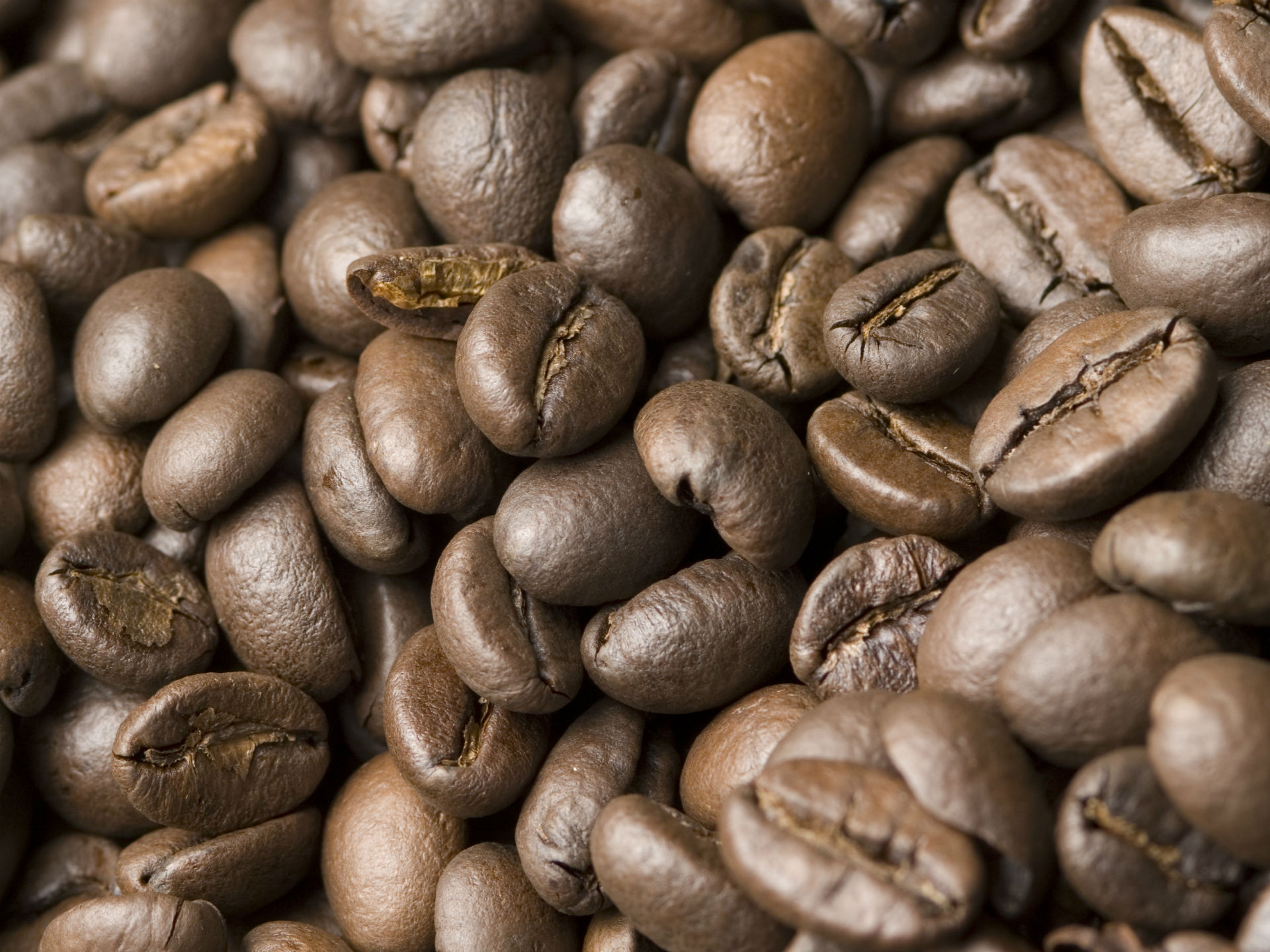 ANCHE IL CAFFE’ PUO’ ESSERE D’AUTORE